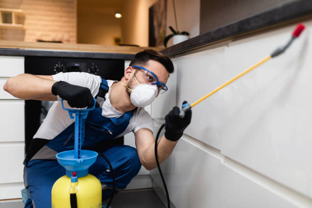 Best Insect Control  in Perrysburg, OH
