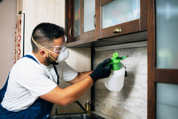 Best Pest Control Near Me in Perrysburg, OH
