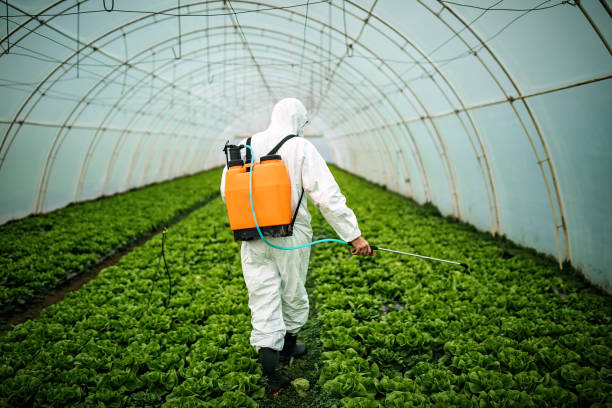 Best Residential Pest Control  in Perrysburg, OH