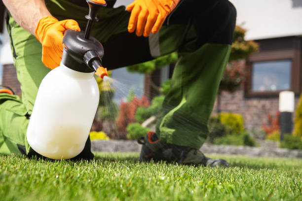 Trusted Perrysburg, OH Pest Control Experts