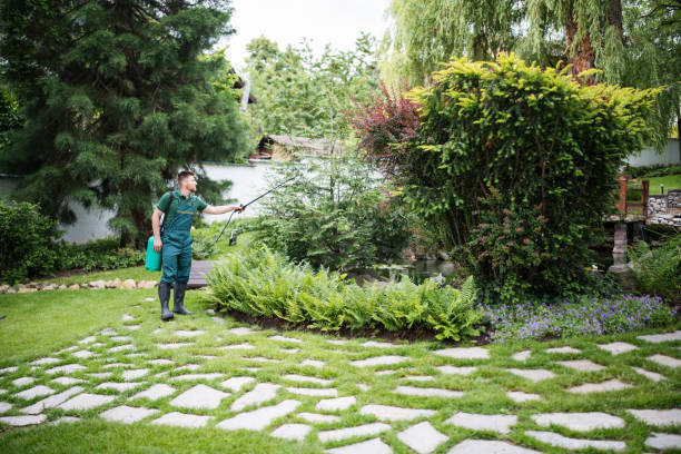 Best Mosquito Control Services  in Perrysburg, OH