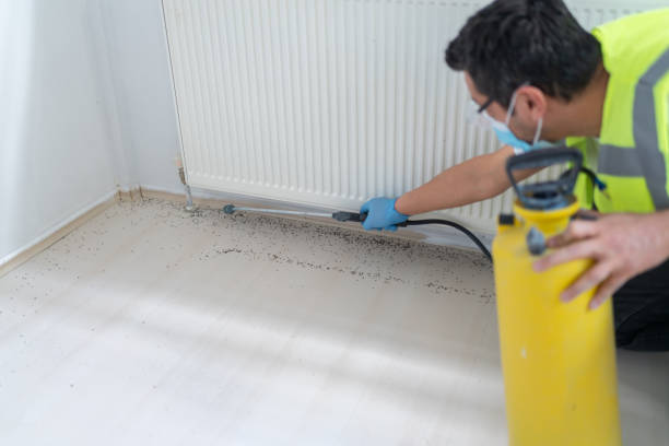 Best Local Pest Control Services  in Perrysburg, OH