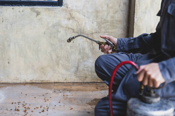 Best Best Pest Control Near Me  in Perrysburg, OH